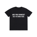 Are you chinese?
